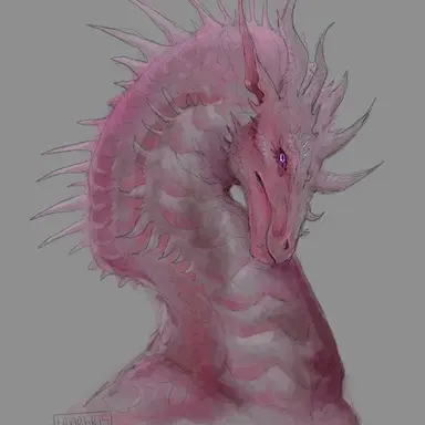 Profile image of Xander