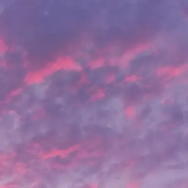 Profile image of 실험체