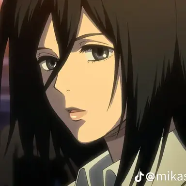 Profile image of 미카사