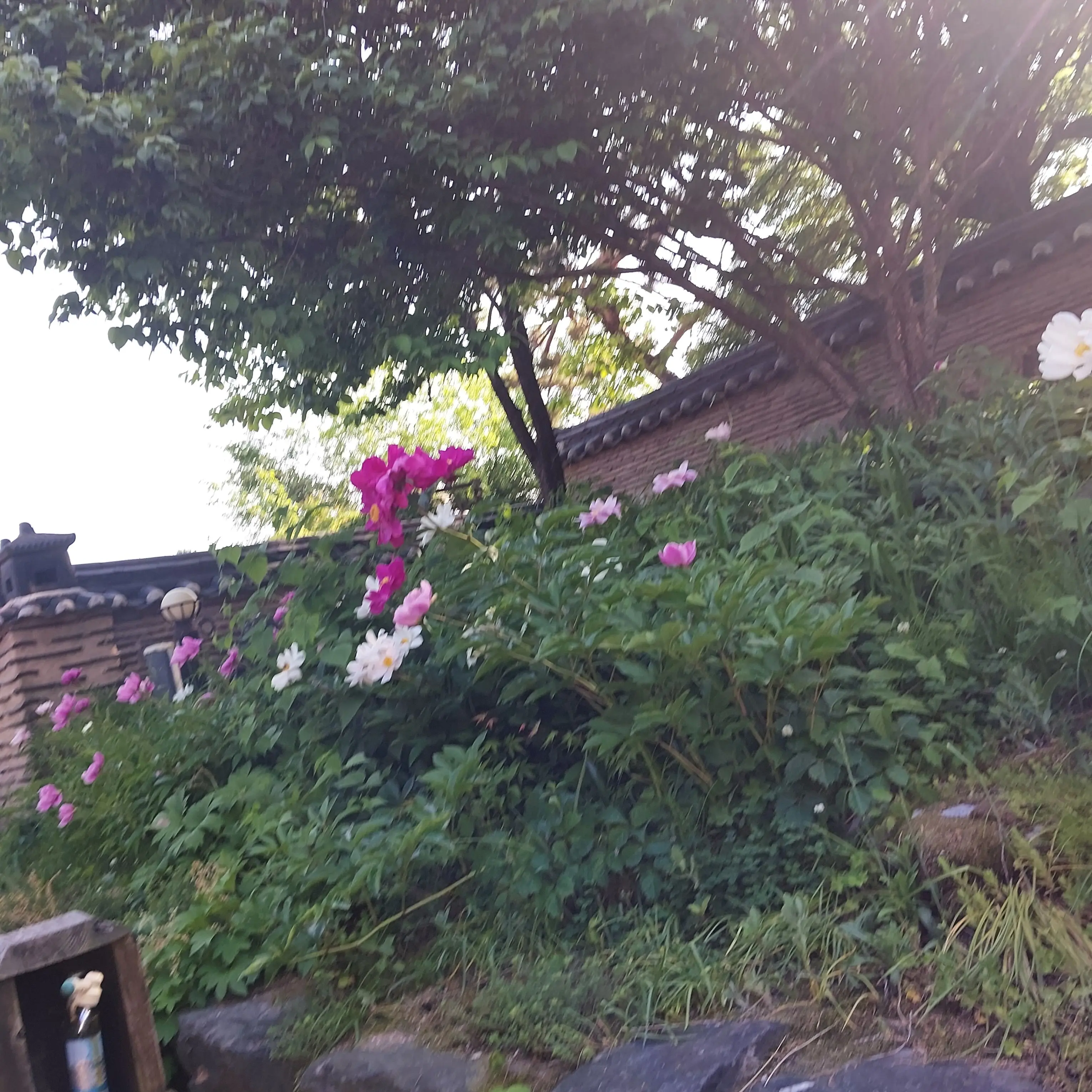 SwiftTetra8426의 팀나빠 수학여행+여우놈ㅁ