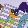 Profile image of Roadrunner