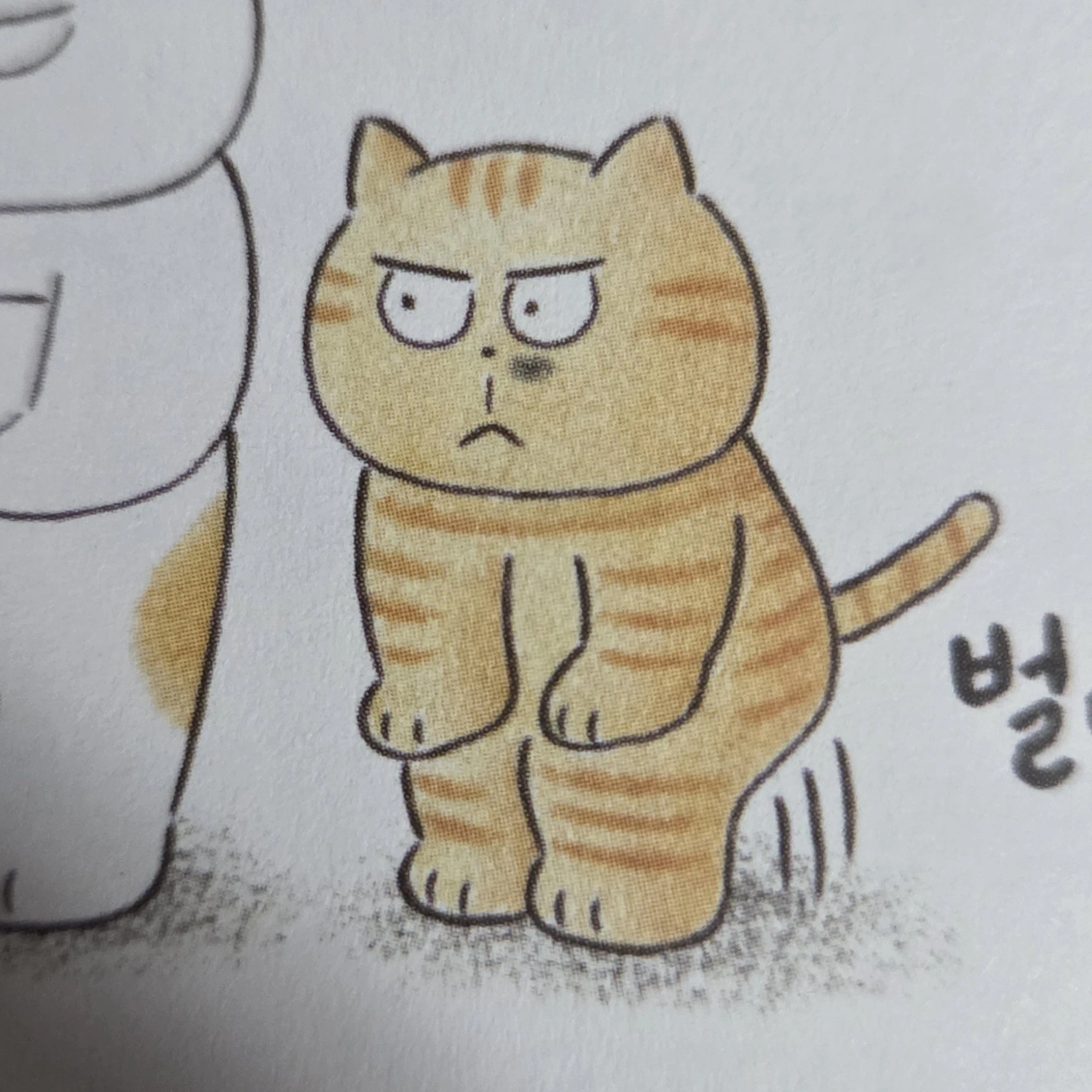치즈냥