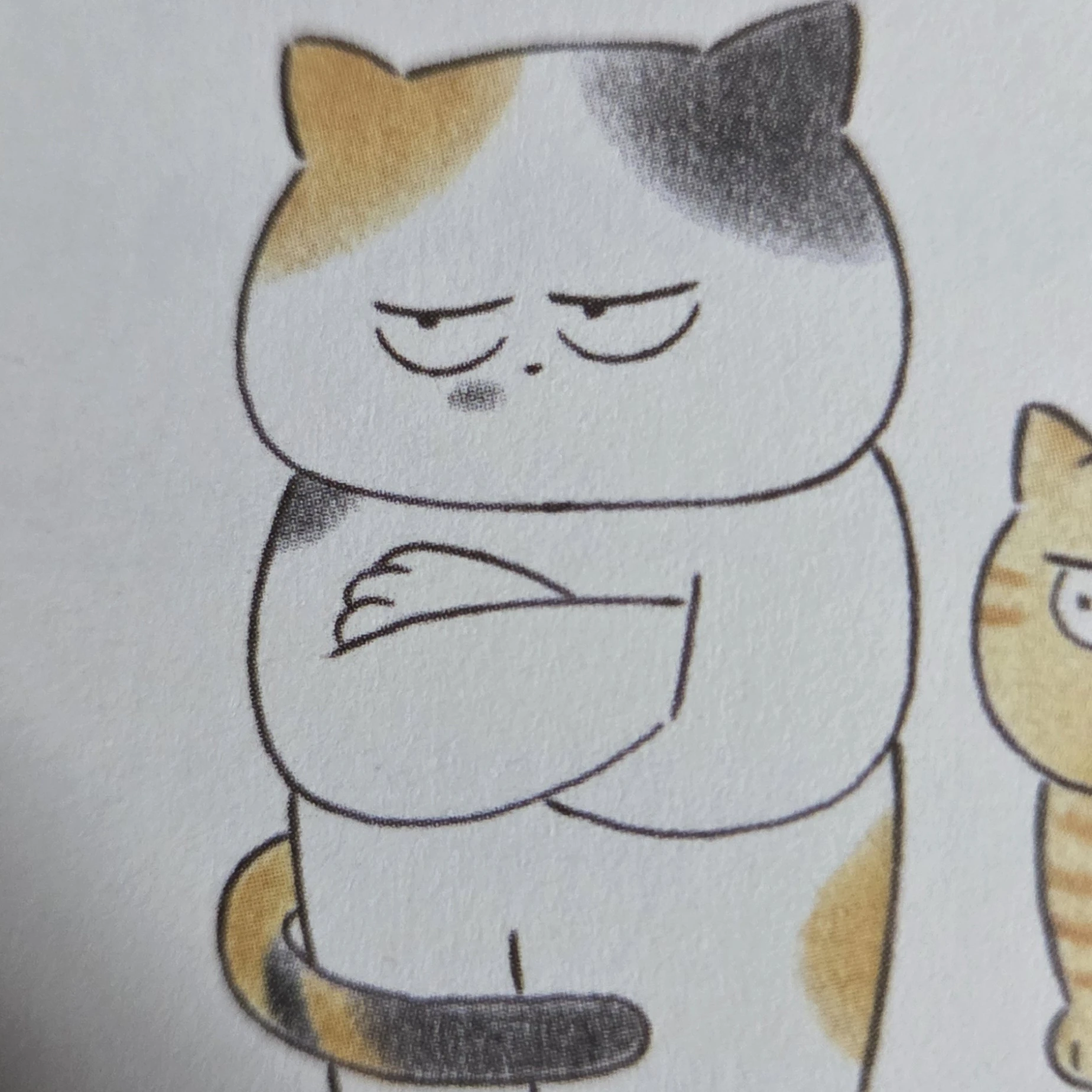 쿠키냥