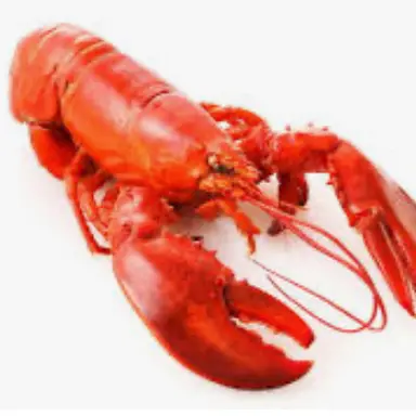 Profile image of 로시