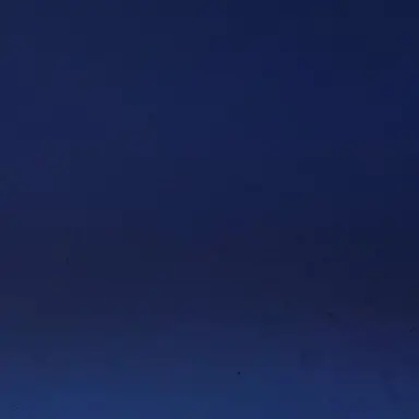 Profile image of 樹