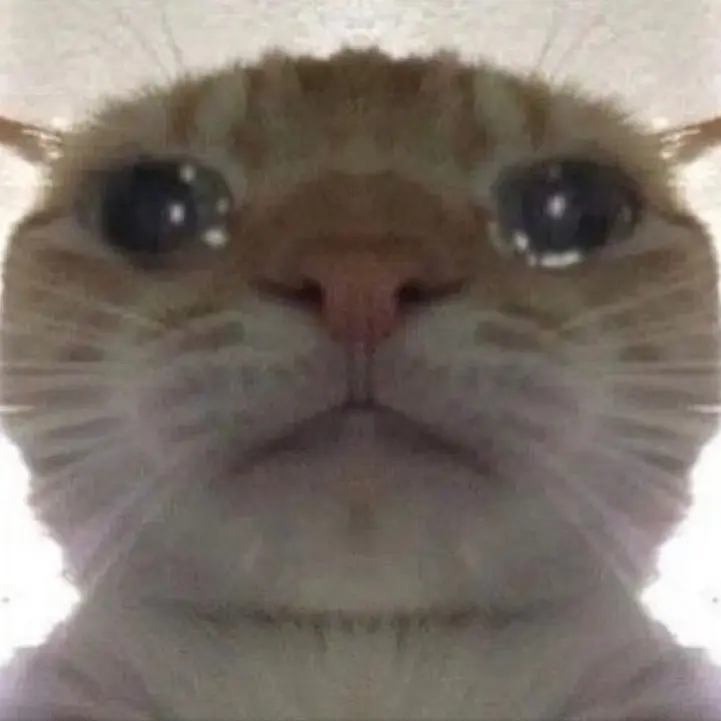 LuvUPookie의 나도고양이키우고싶다