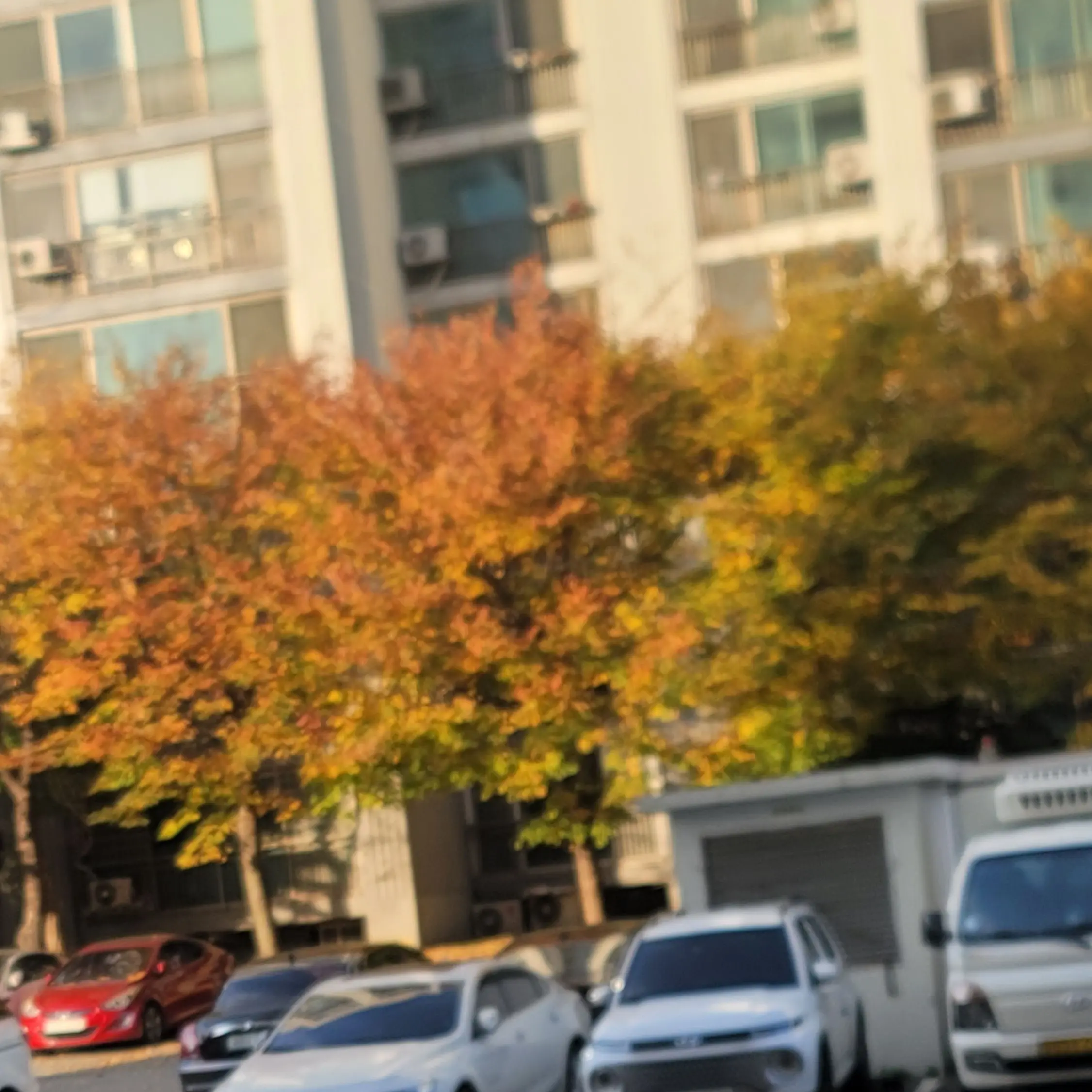 HugeGnat6745의 태권도