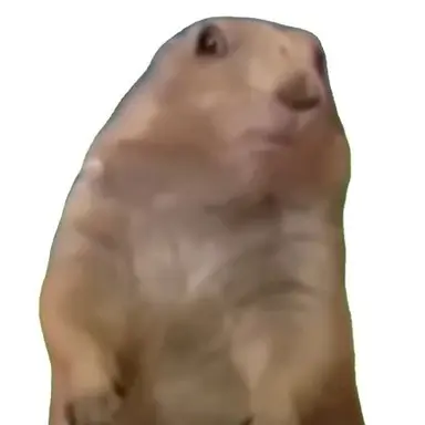 Profile image of 여우