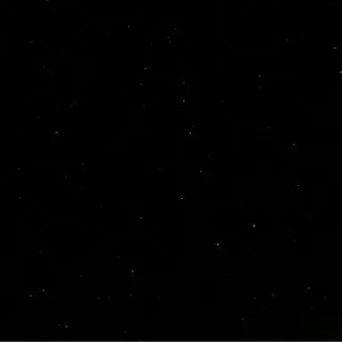 Profile image of 릴리