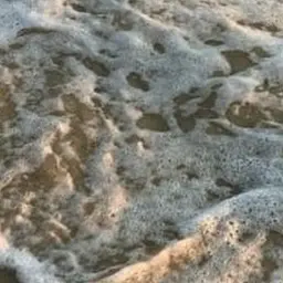 Profile image of 진격거 단톡방