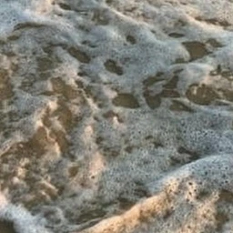진격거 단톡방