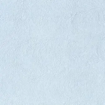 NeedyCoast2423의 感覚共有人形