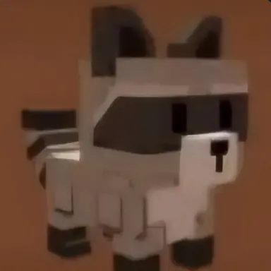 Profile image of 라쿤