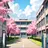 学校の先生達
