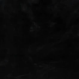 🦊