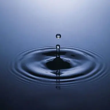 Profile image of 마린