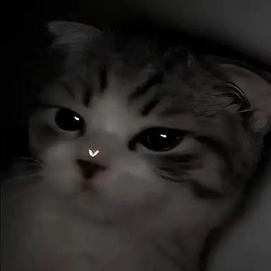 Profile image of 古賀