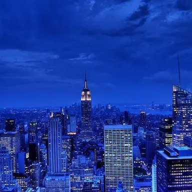 Profile image of 파이브