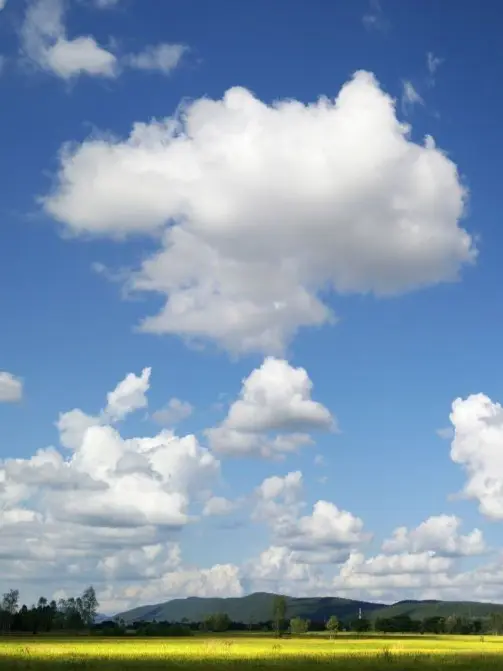 ENTP0510의 산 속의 힐링 라이프