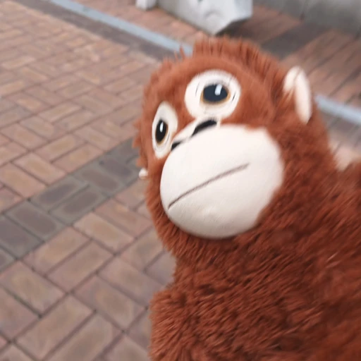 장현석