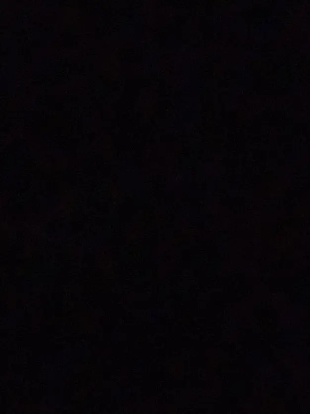 sia_Le의 인이어[re revolutlon]