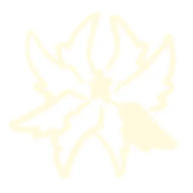 Profile image of Confess