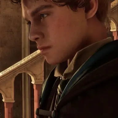 Profile image of Sebastian Sallow