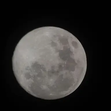 Profile image of 아즈매 타니마