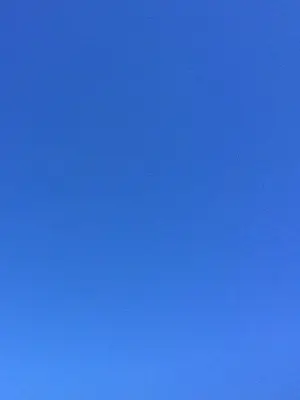 SilkyThigh1658의 もう好きなことさえ嫌いになりそうだ＿゛