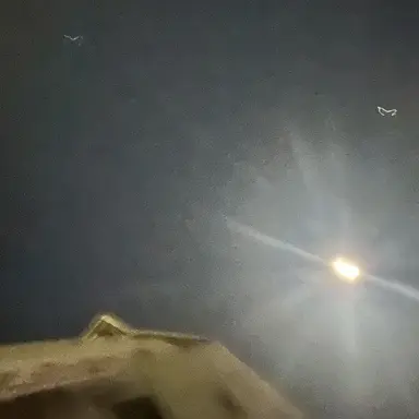 Profile image of 준현