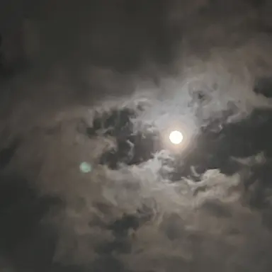 Profile image of 태오