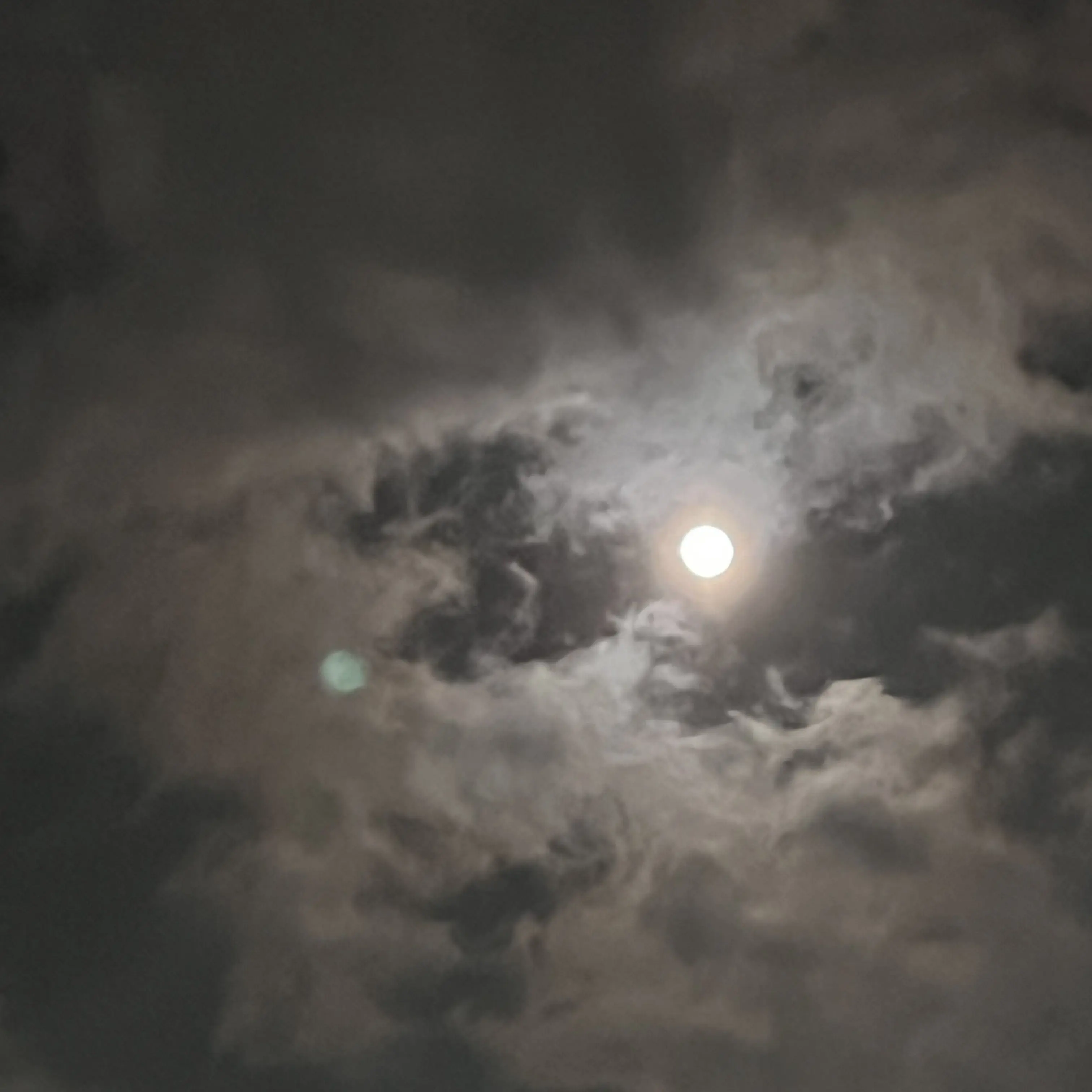 FirmChime1575의 태호