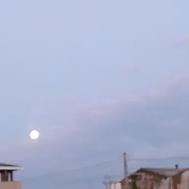 Profile image of timelesz