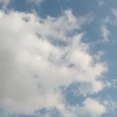 Profile image of 嵐