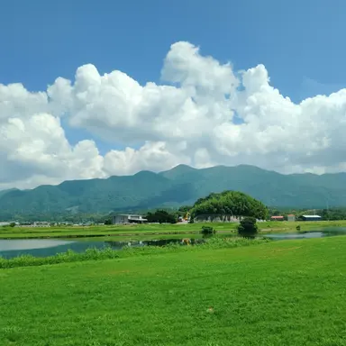 Profile image of MILK