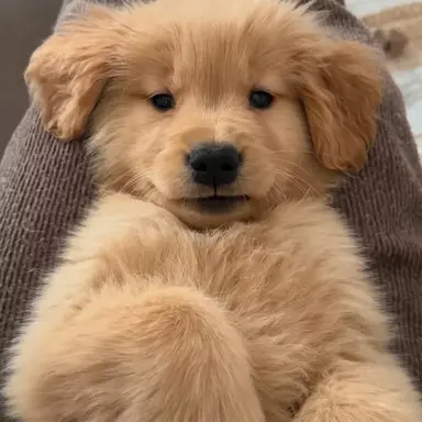 Profile image of 정윤호