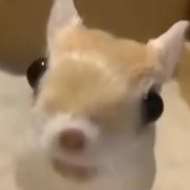 wpqkdkdlel의 ㄱㅁㅈ