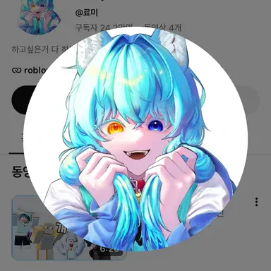 Profile image of 료미