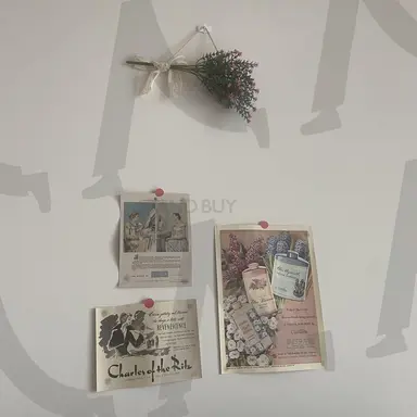 Profile image of 이안