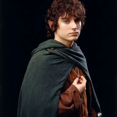 Profile image of Frodo Bagens