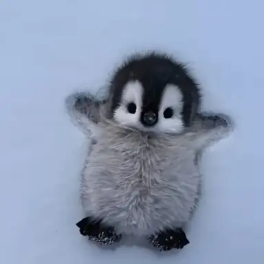 Profile image of 유저