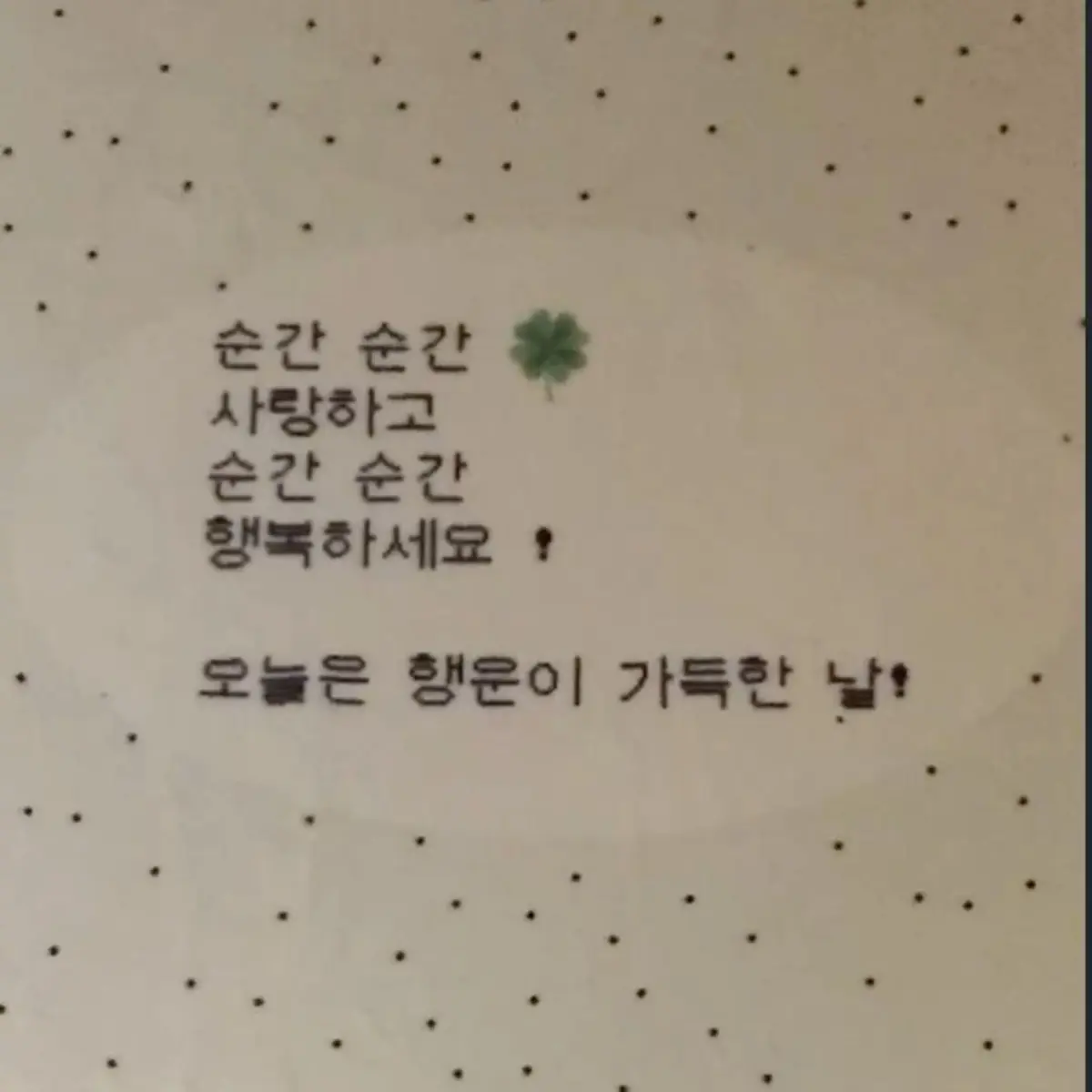 uazzzzxn의 정이얁