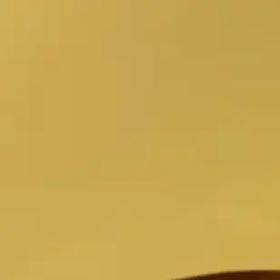 Profile image of 몰리