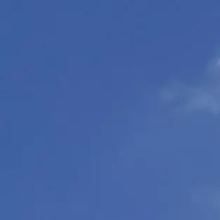 Profile image of 샬롯