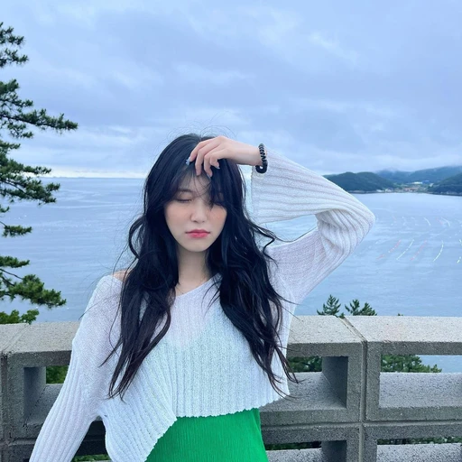 백지헌