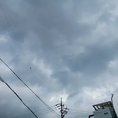 Profile image of 귀멸의칼날 99일