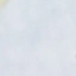 Profile image of 塁