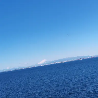 Profile image of 目黒蓮