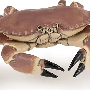 Profile image of Mr. Krabs