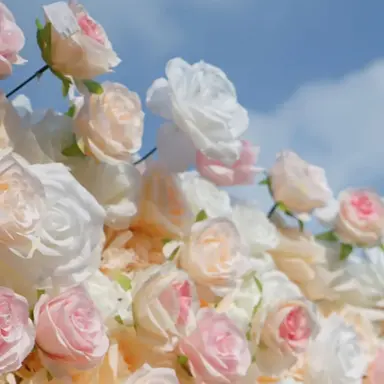 Profile image of 수아